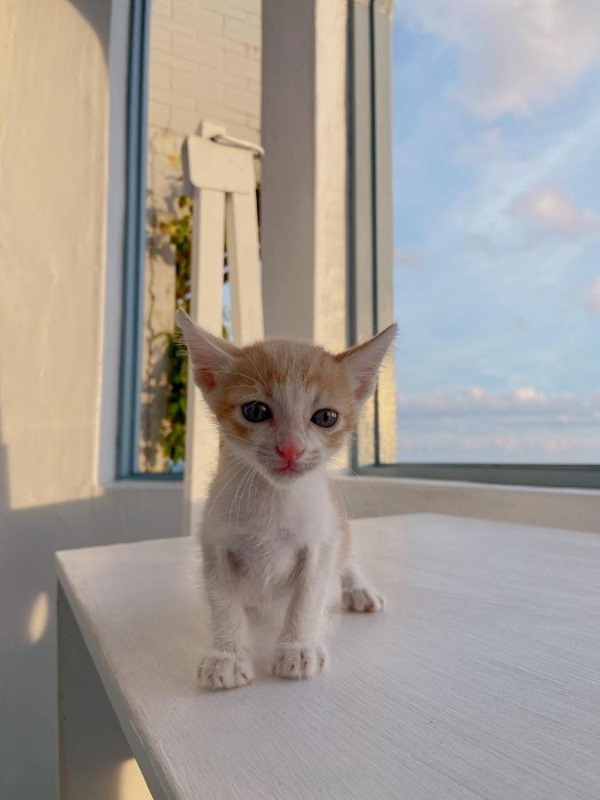 Kenting Met Hi Inn Cape Eluanbi Esterno foto